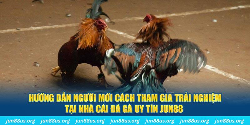 sudoku CQ9 Điện Tử