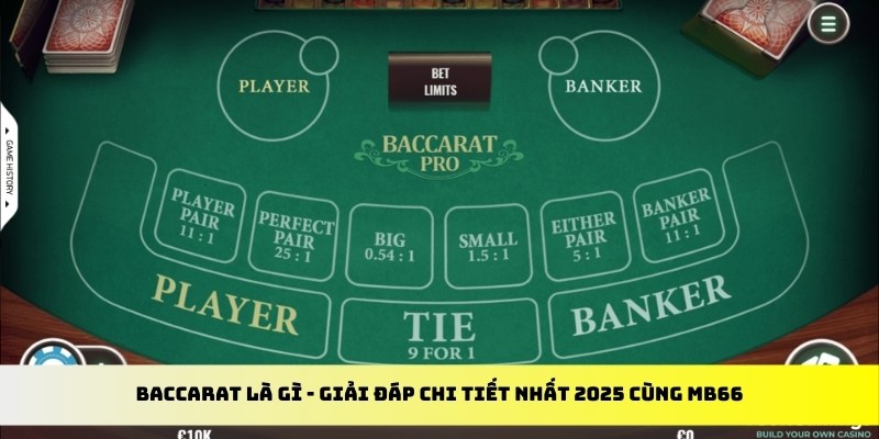 sudoku gà chọi cu cần