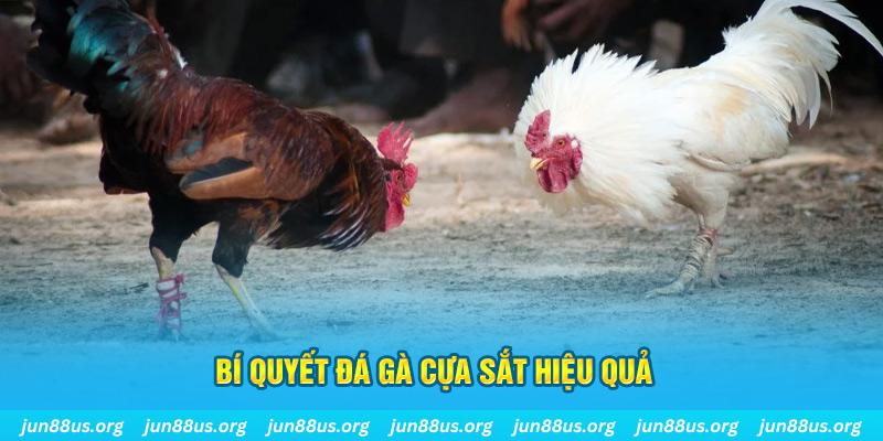 sudoku xin 1 slot là gì
