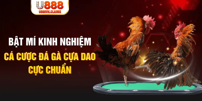 sudoku tỷ lệ cá cược châu á là gì