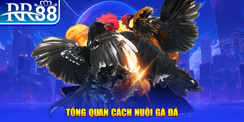 sudoku VA Điện Tử