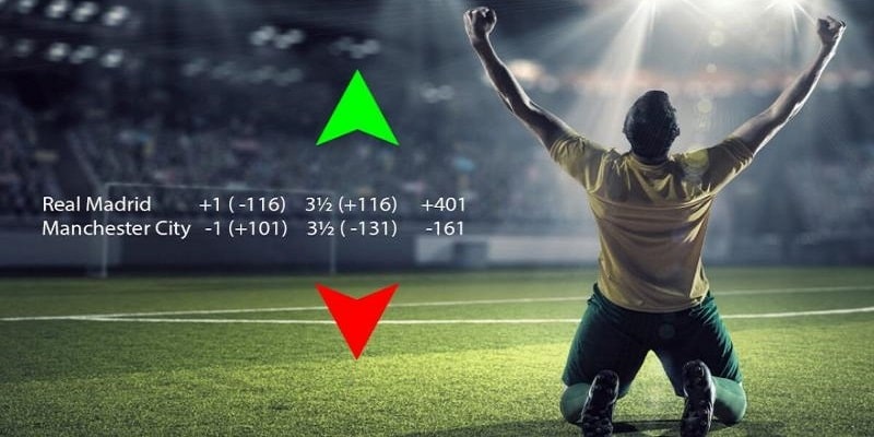 sudoku slot tiếng việt là gì