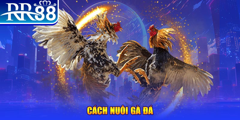 sudoku xổ số an giang