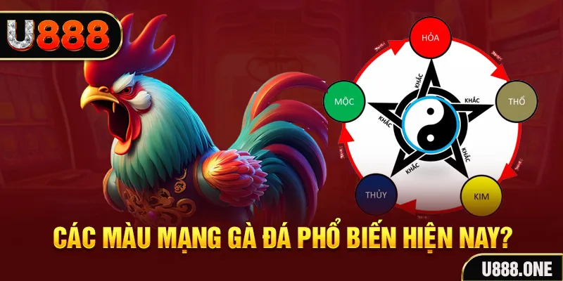 sudoku trực tiếp đá gà 88