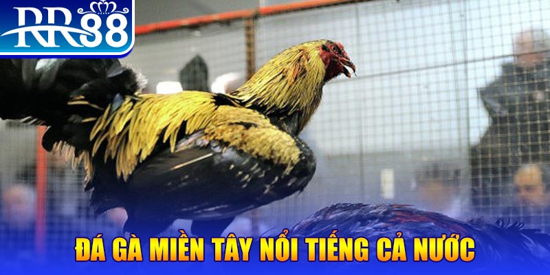 sudoku JILI Game Bài 3d