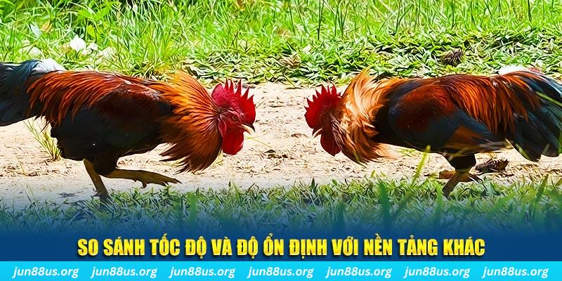 sudoku đá gà hôm nay