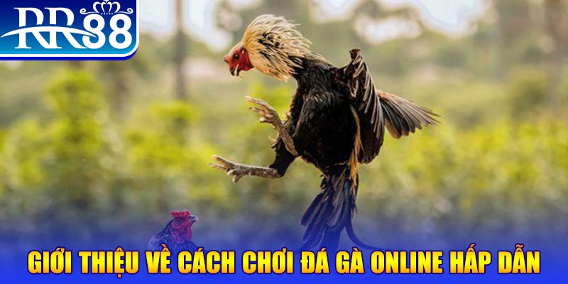 sudoku game nổ hũ rút tiền mặt là gì