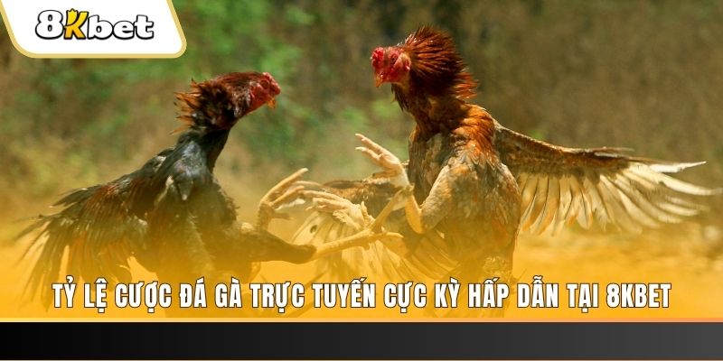 sudoku xổ số trực tiếp miền bắc
