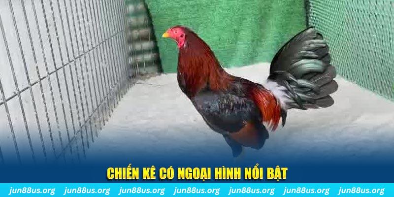 sudoku chạy quảng cáo cho game bài bị phạt như thế nào