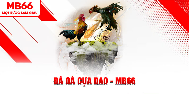 sudoku đá gà sv388 gold